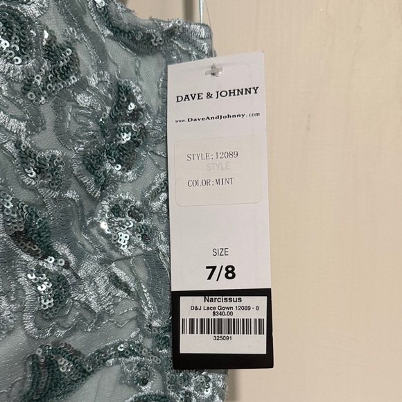 Dave & Johnny Gown in Mint - Picture 2 of 11